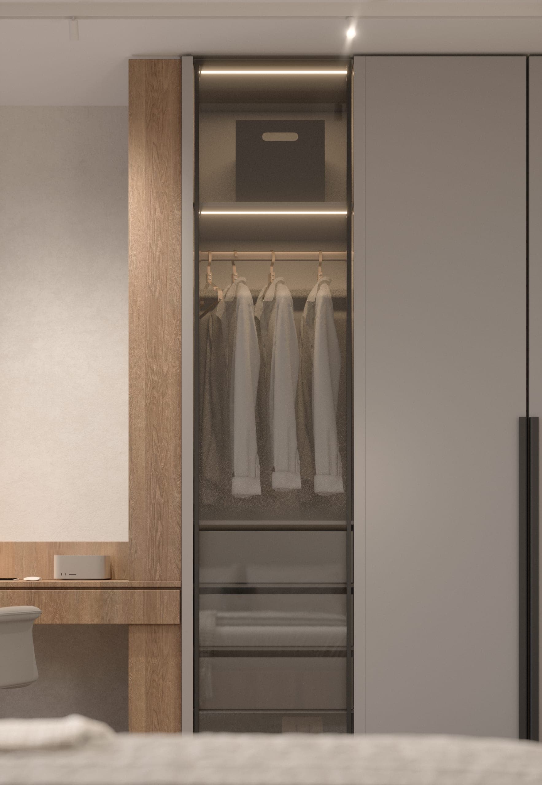 Băneasa House: wardrobe with glass doors and a lit interior