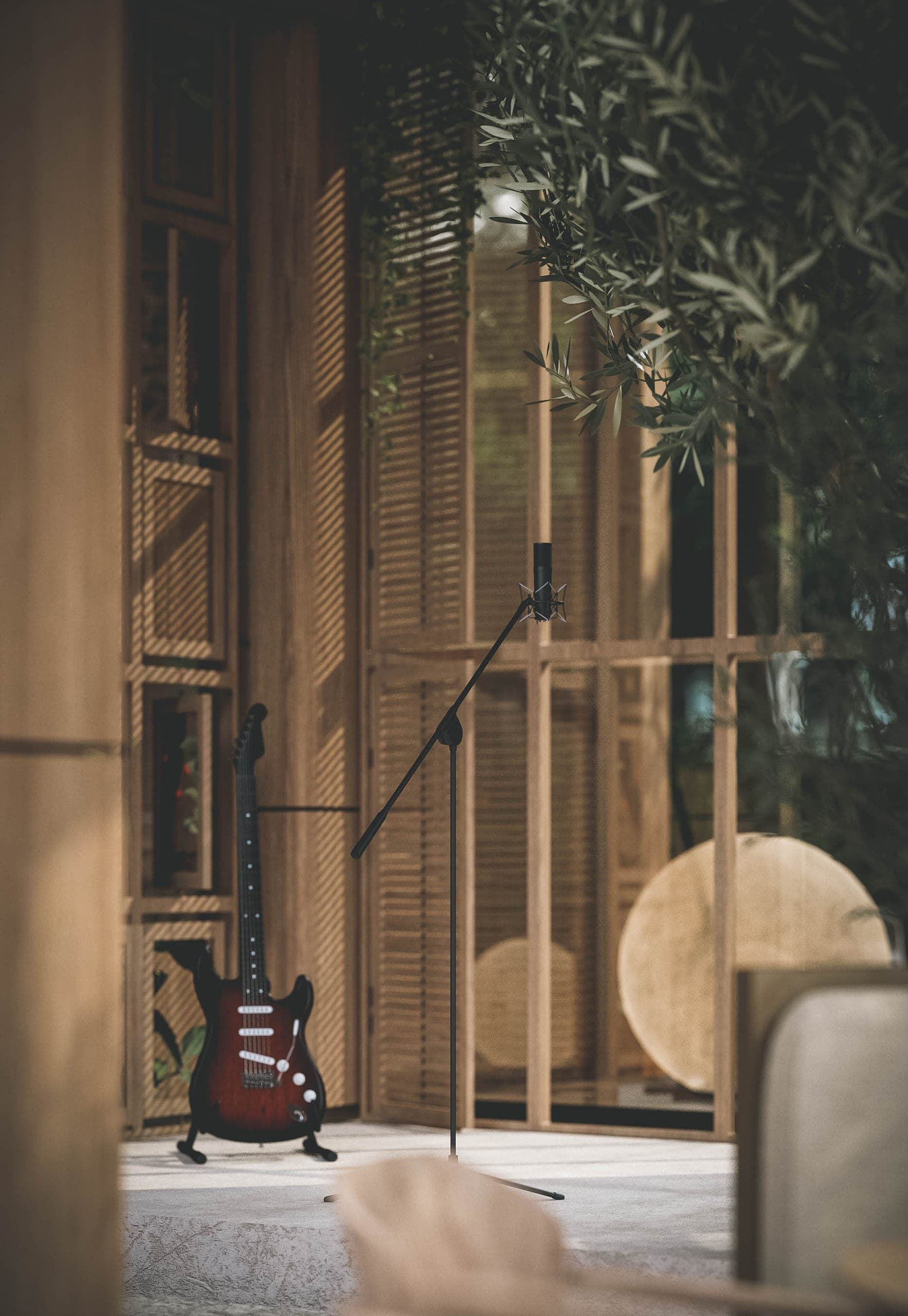 Bosco: stage corner with an electric guitar and microphone