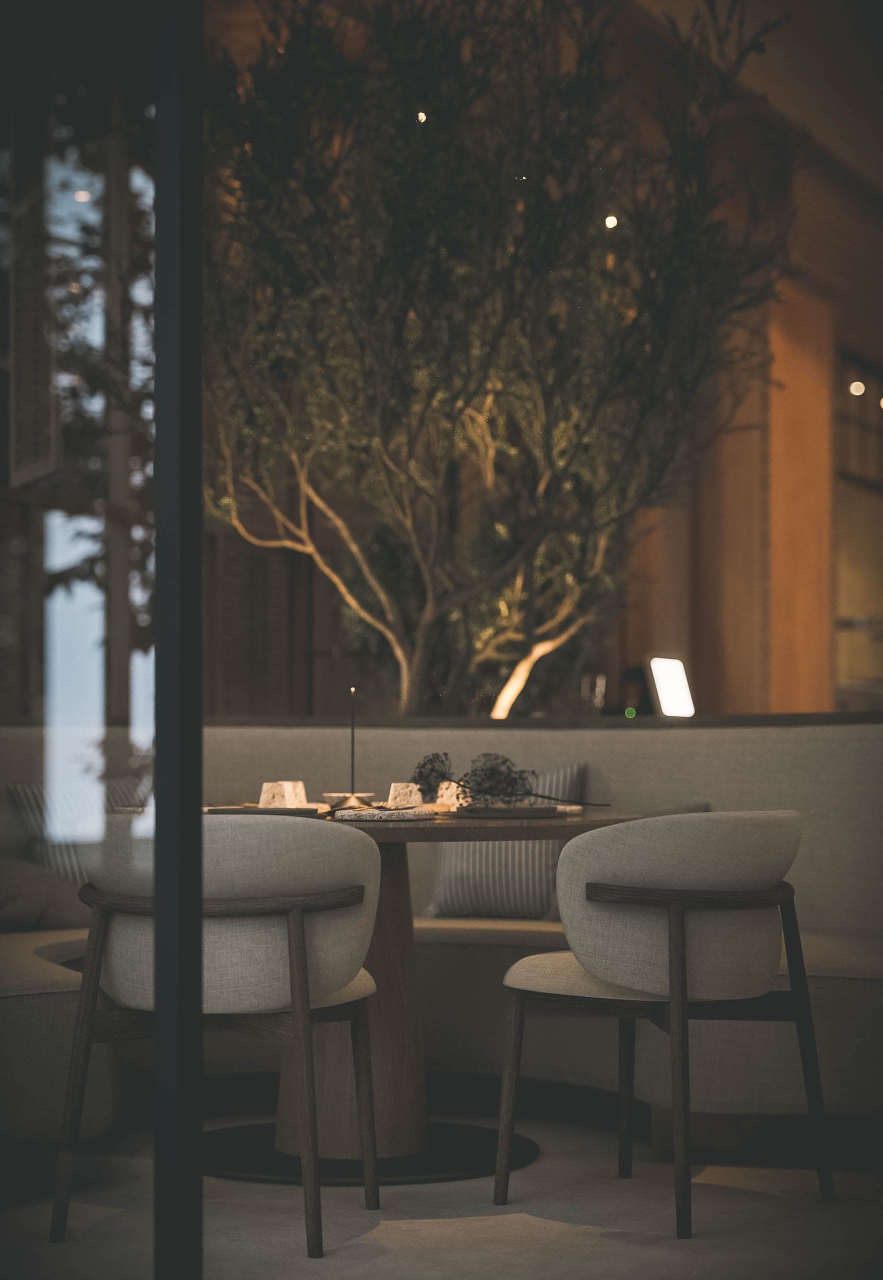 Bosco: banquette under an olive tree at night