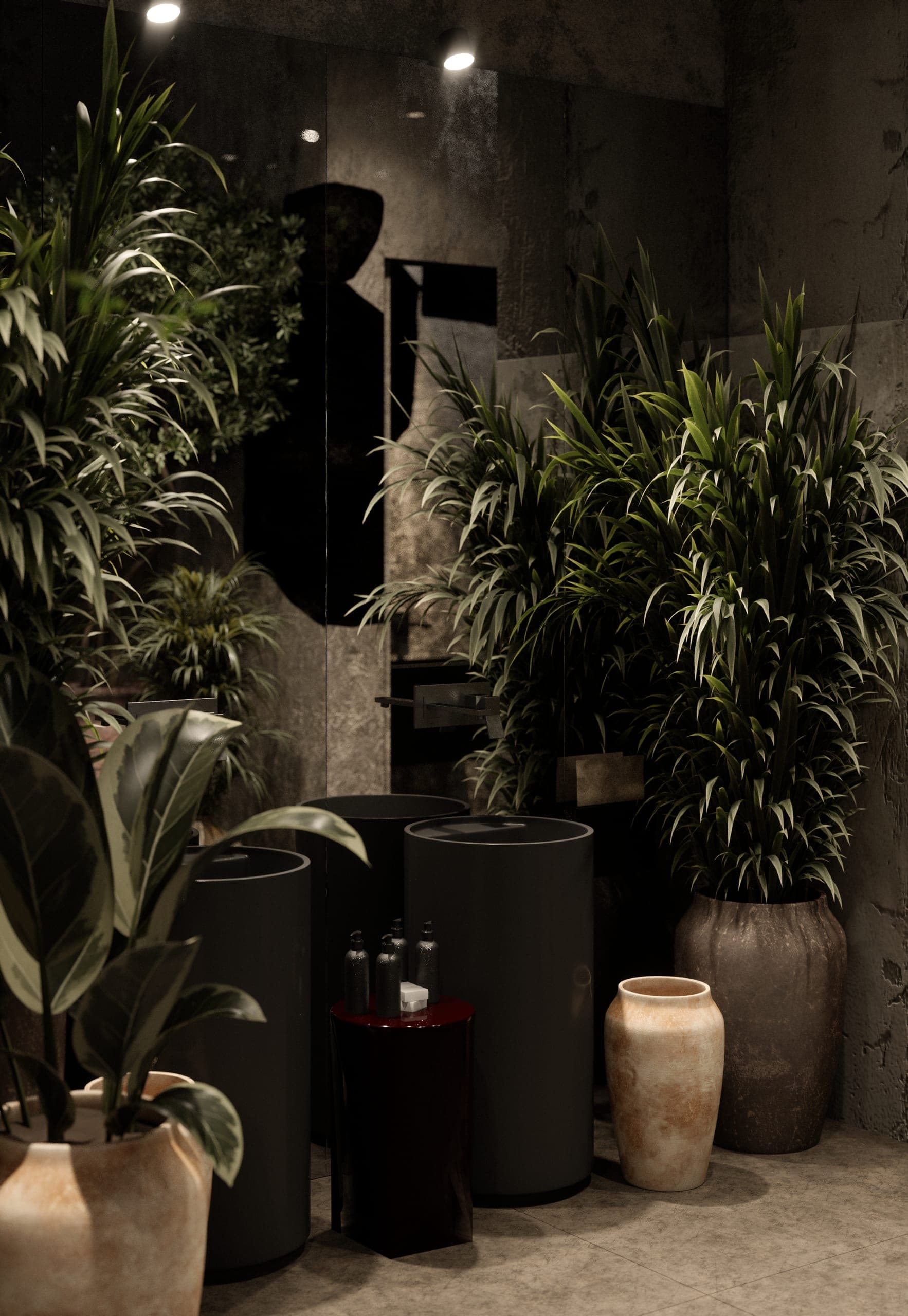 KAVO: plants and clay pots in low light